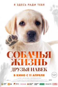 Собачья жизнь: Друзья навек (2024)